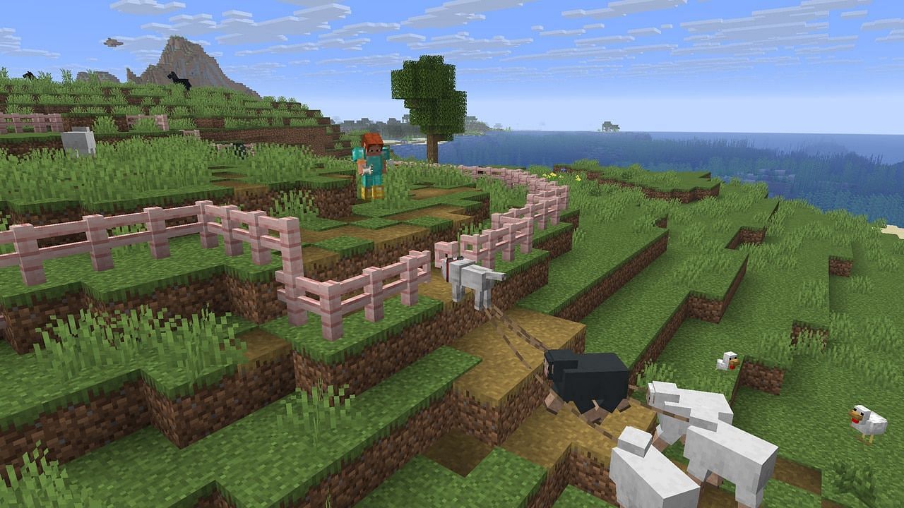 A tamed Wolf is leading a small herd of Sheep with leads. They are being led into a small Cherry Blossom pen. (Image via Mojang)